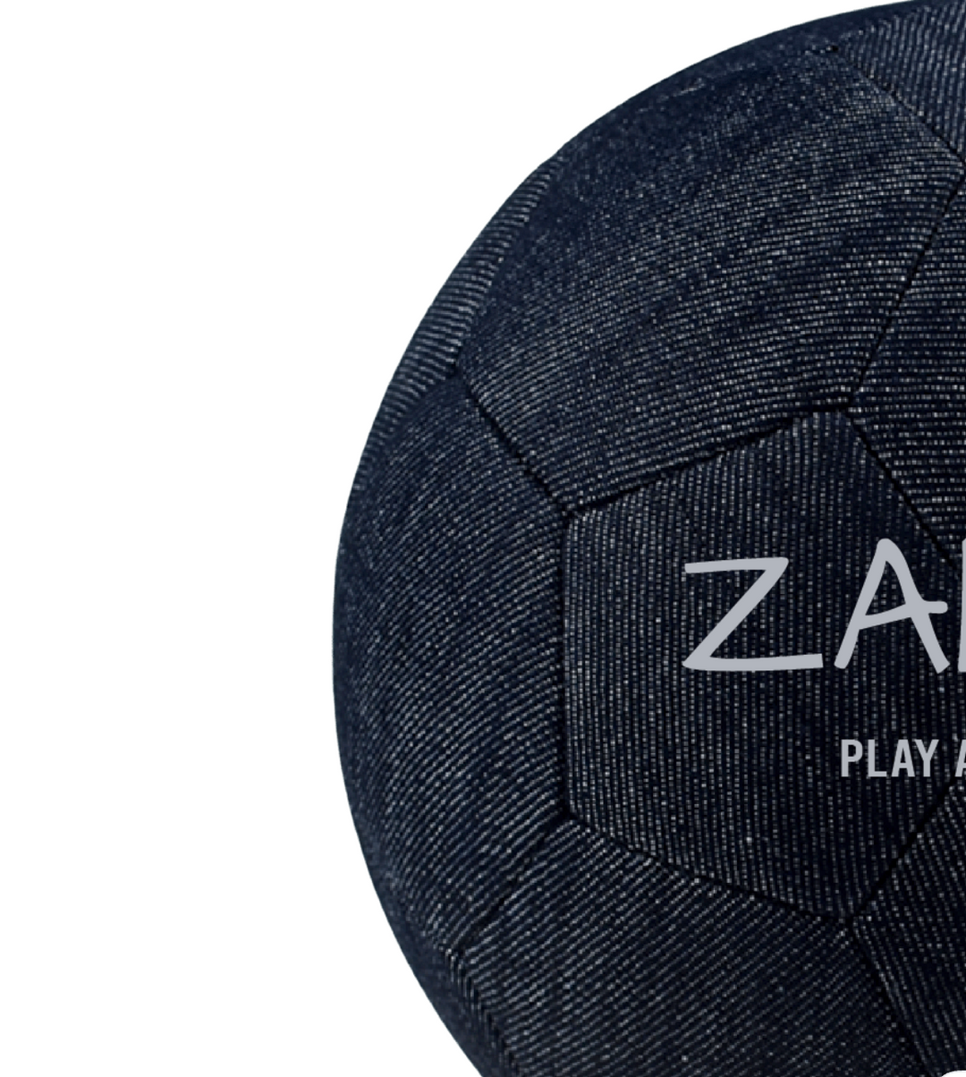 ZANYA: Play Anywhere